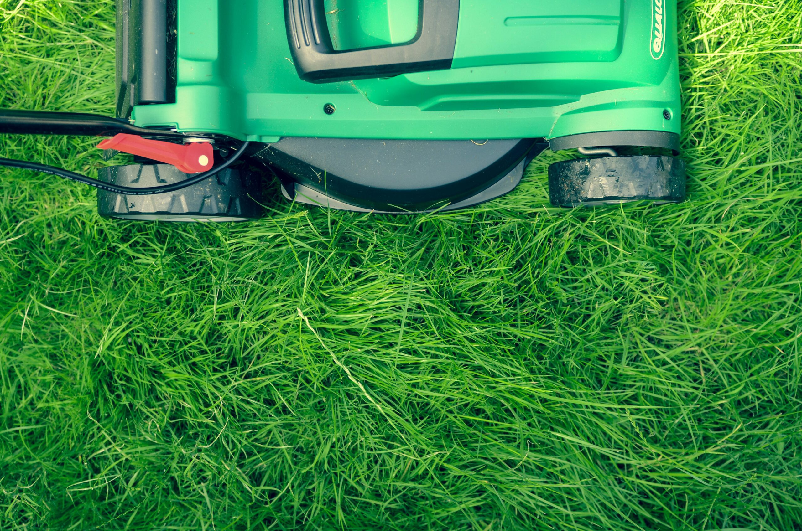 Grass Cutting Swindon | Affordable Lawn & Garden Services