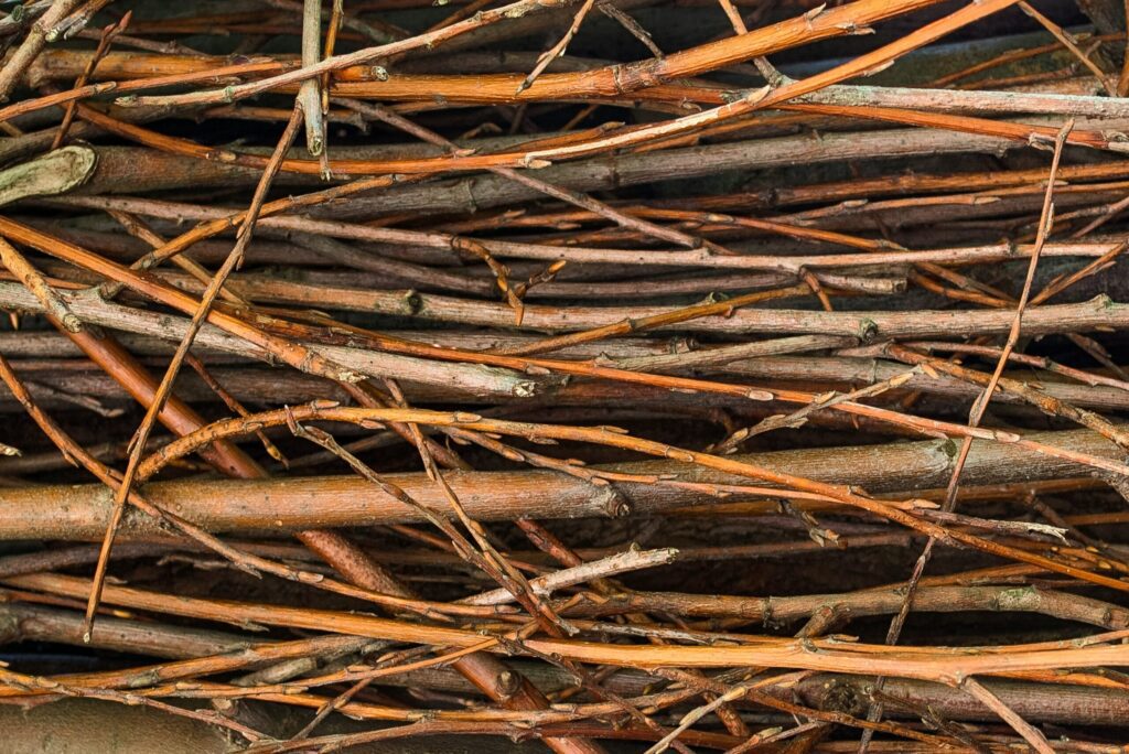 Close-up of sticks and twigs with the text "Garden Clearance Swindon | Fast, Affordable Tidy-Ups" overlaid