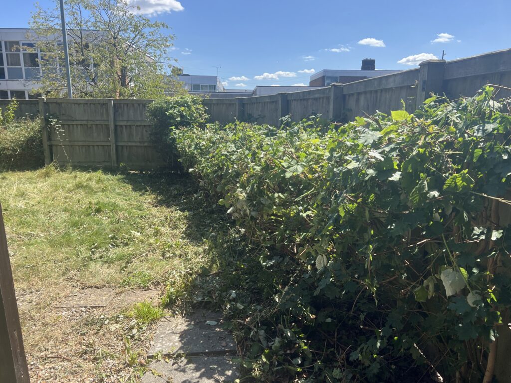 Neatly trimmed hedge with bramble removed from the pathway, revealing a clean concrete walkway and exposed wooden fence with a freshly cleared grassy area.