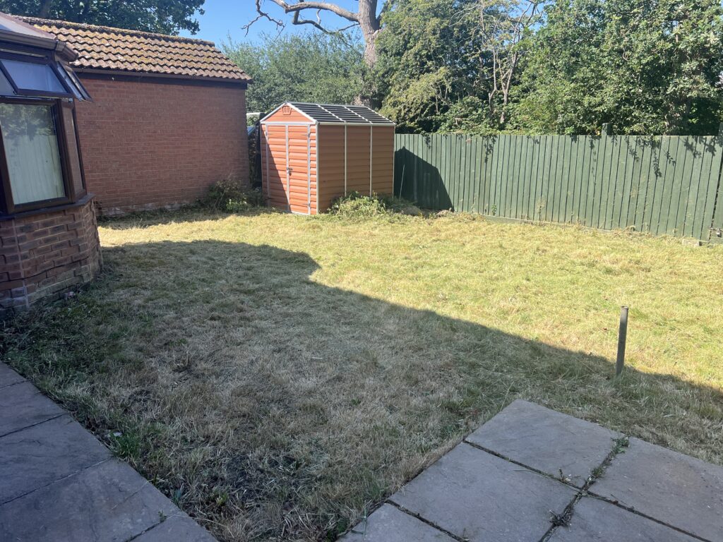 Backyard lawn freshly mowed to a uniform height, bordered by a green fence and brick wall, featuring a tidy orange metal shed under a clear blue sky.